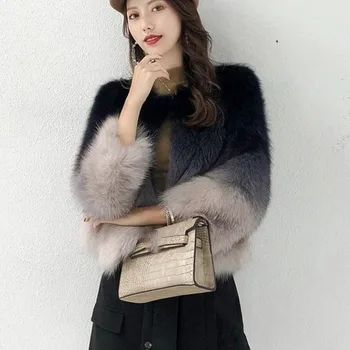 Lucyever Moda Gradient De Pluș Jacheta Femei Coreene Slim Scurt Faux Blană De Vulpe Strat De Sex Feminin Elegant De Înaltă Calitate, Cu Blană Blană Palton