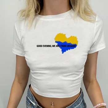 Ucraina, Pavilion t shirt 90 2000 crop top Femeie de epocă basm gotic, grunge yk2 tee culturilor sus
